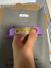 Load image into Gallery viewer, Collars + Brass Plates Bundle Deal