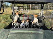 Load image into Gallery viewer, Ute Tether