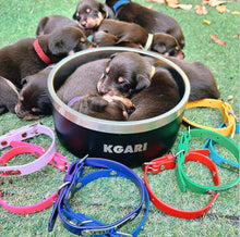 Load image into Gallery viewer, CC Pink (Baby Pink) Dog Collar