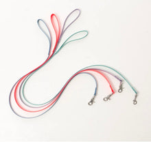 Load image into Gallery viewer, Collar and Lead Deal