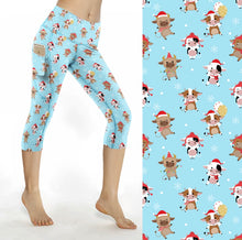 Load image into Gallery viewer, Christmas 2025