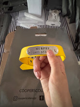 Load image into Gallery viewer, Collar and SS Name Tag *Most Popular*