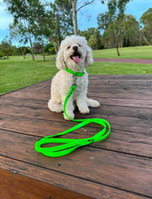 Load image into Gallery viewer, Collar and Lead Deal