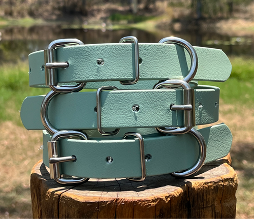 Sage Dog Collar