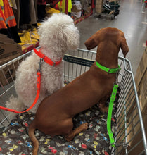 Load image into Gallery viewer, Fluro Green Dog Collar