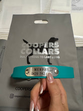 Load image into Gallery viewer, Teal Green Dog Collar