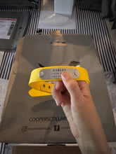 Load image into Gallery viewer, Collar and SS Name Tag *Most Popular*