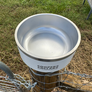 Dog Bowl White