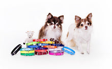 Load image into Gallery viewer, Yellow Dog Collar