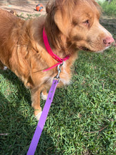 Load image into Gallery viewer, Dog Lead Thick 25mm Wide