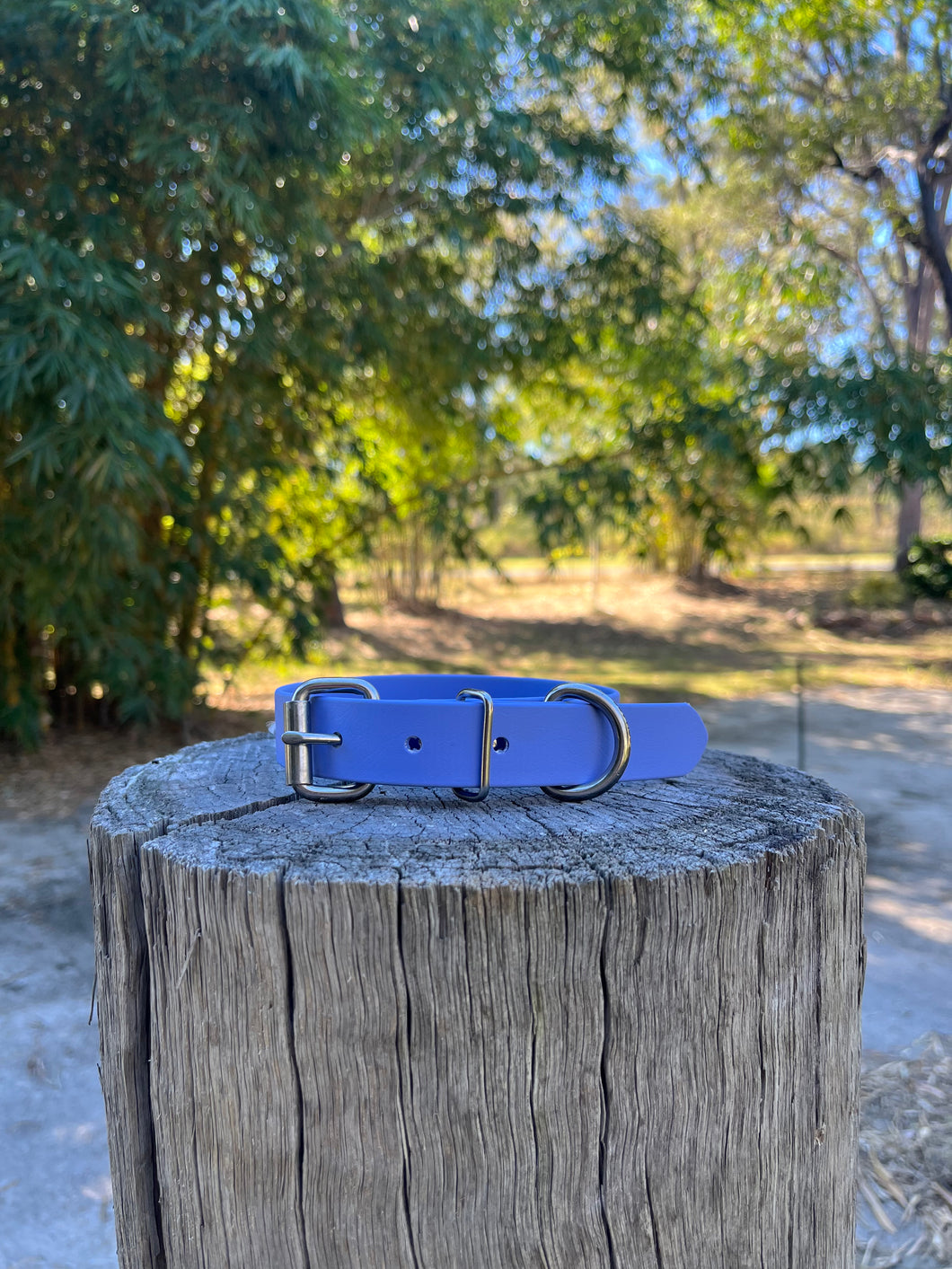 Periwinkle Dog Collar