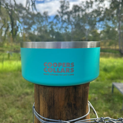 Dog Bowl Ocean