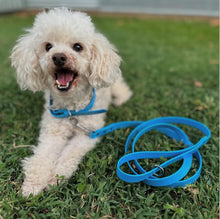 Load image into Gallery viewer, Cyan Blue (Light Blue) Dog Collar
