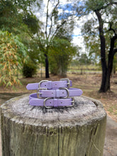 Load image into Gallery viewer, Lavender Shimmer Dog Collar