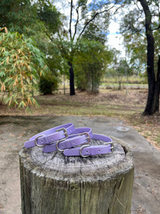 Lavender Shimmer Dog Collar