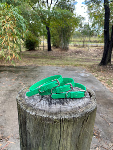 Green Dog Collar