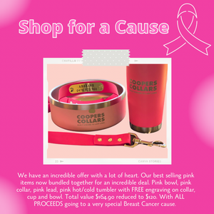 Breast Cancer Support Package