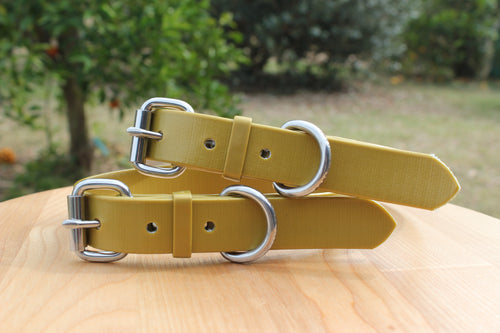 Gold Dog Collar