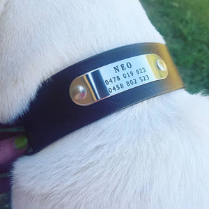 BIG Dog Collar (1-1/2 inch wide)