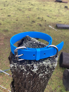 Cyan Blue (Light Blue) Dog Collar