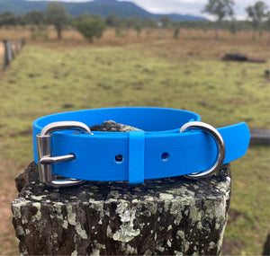 Cyan Blue (Light Blue) Dog Collar