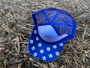 Blue & Red Coopers Collars Hat