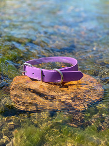 Amethyst Dog Collar