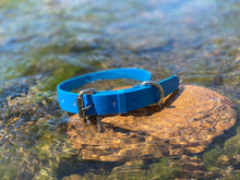 Load image into Gallery viewer, Cyan Blue (Light Blue) Dog Collar