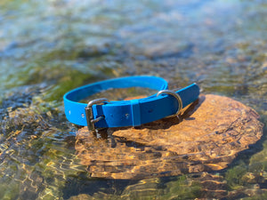 Cyan Blue (Light Blue) Dog Collar