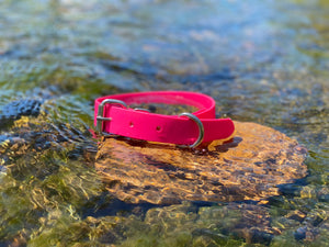 Hot Pink Dog Collar