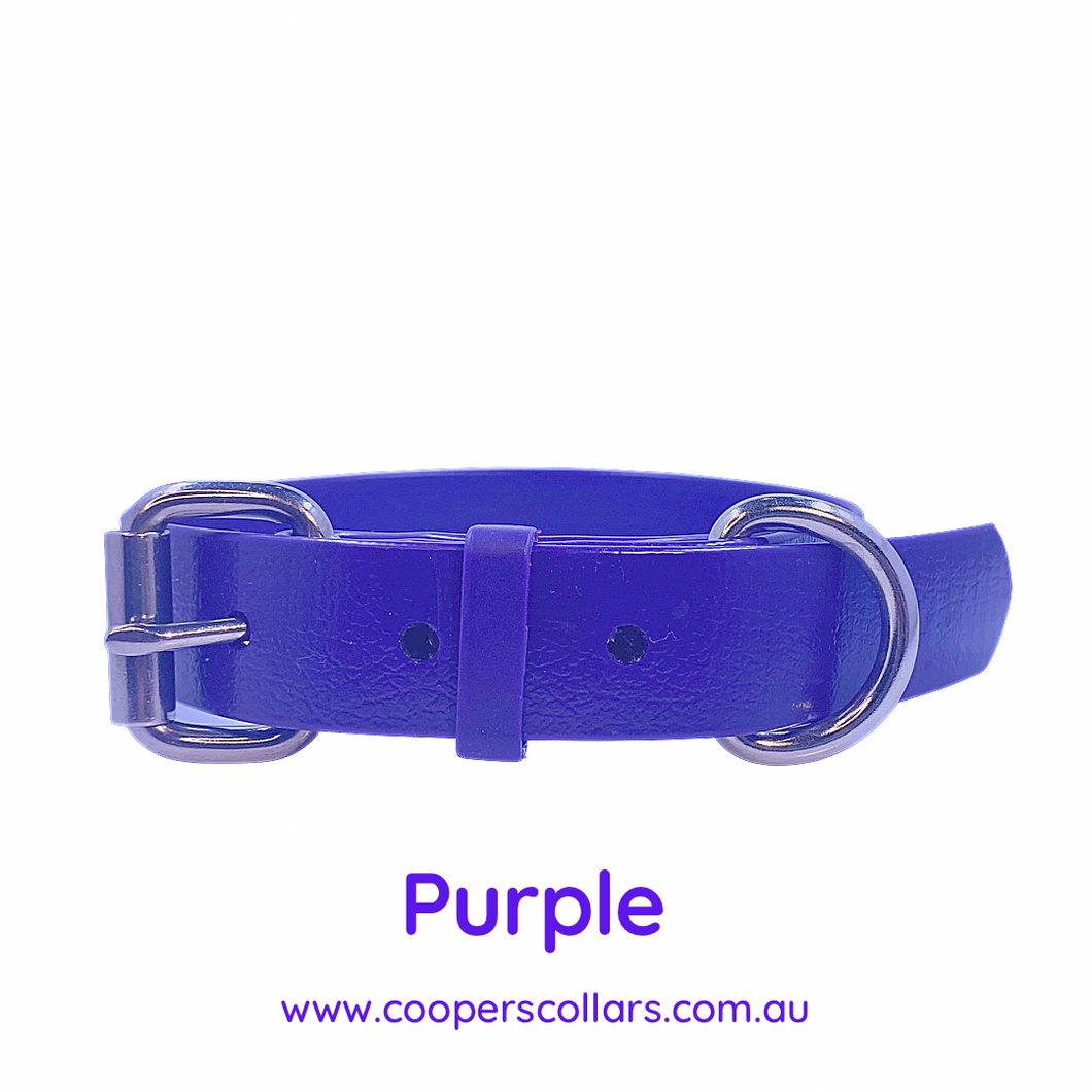 Purple Dog Collar