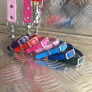 Mini Collar (10mm wide)