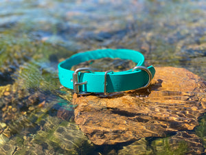 Teal Green Dog Collar