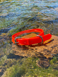 Fluro Orange Dog Collar