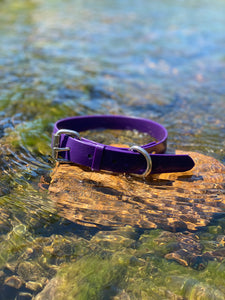 Purple Dog Collar