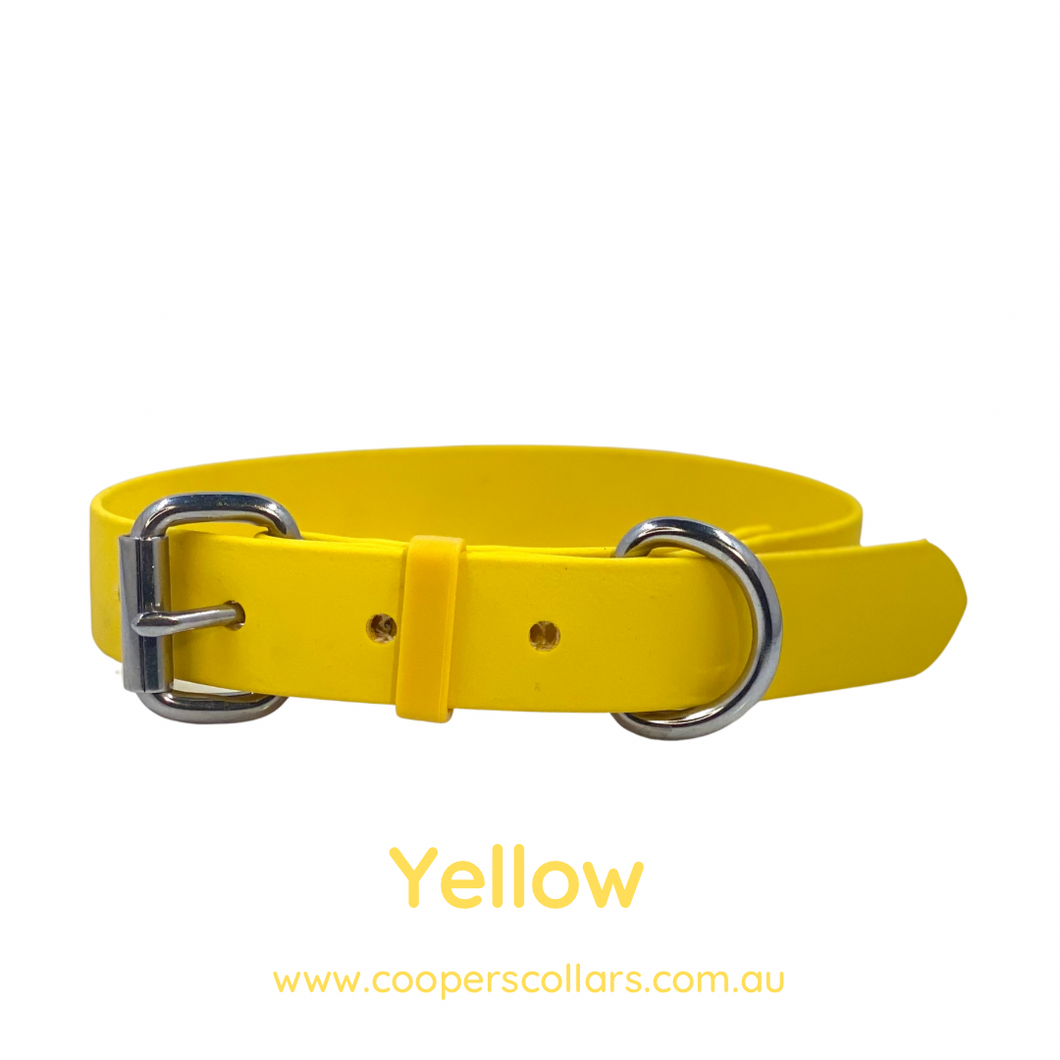 Yellow Dog Collar